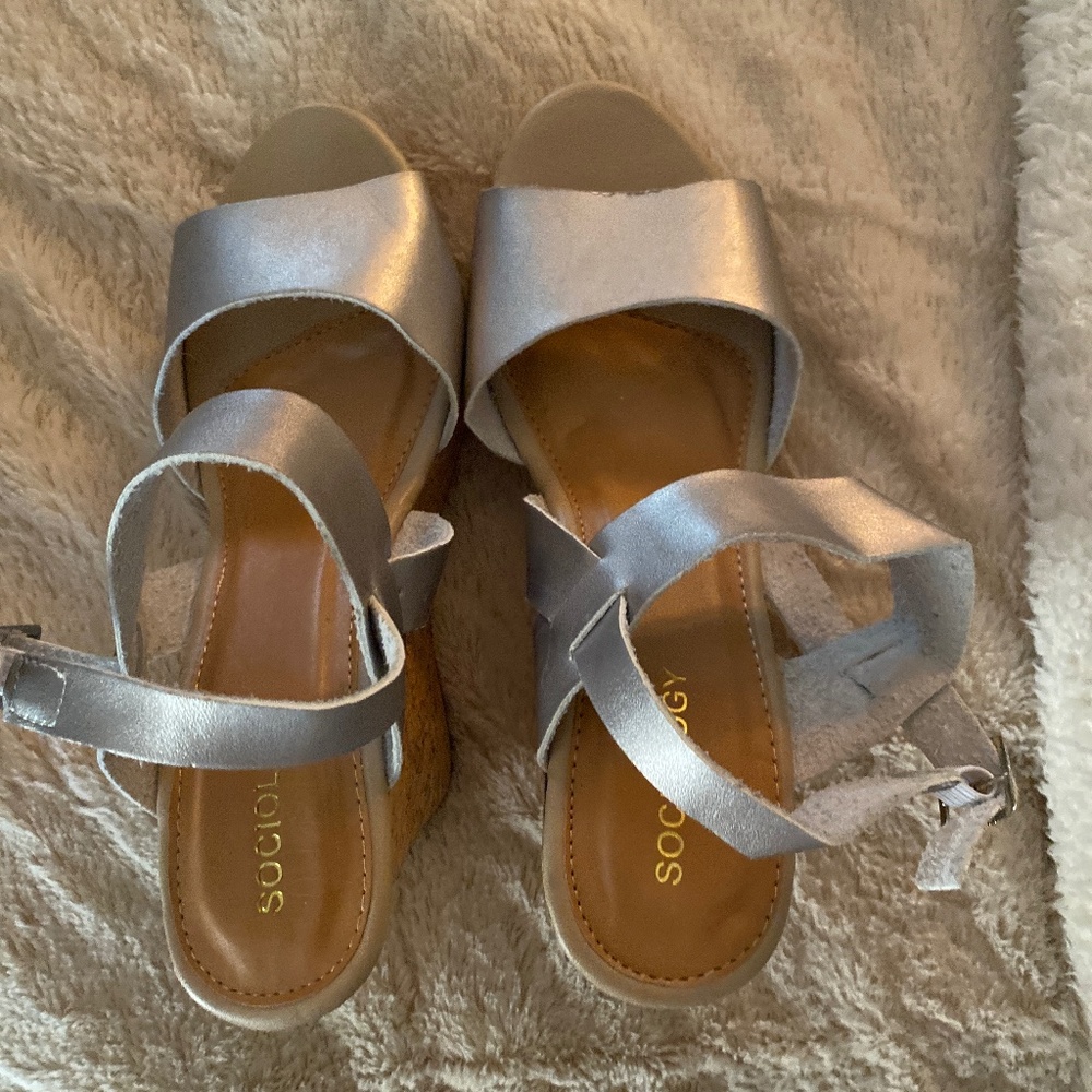 Sociology wedges NEW